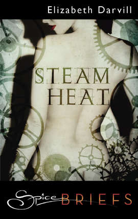 Book cover of Steam Heat