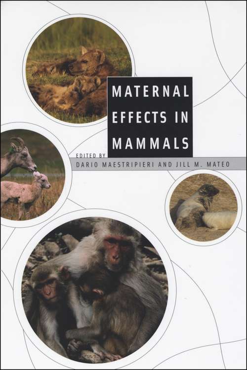 Book cover of Maternal Effects in Mammals