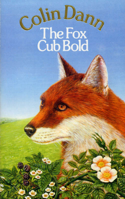 Book cover of The Fox Cub Bold