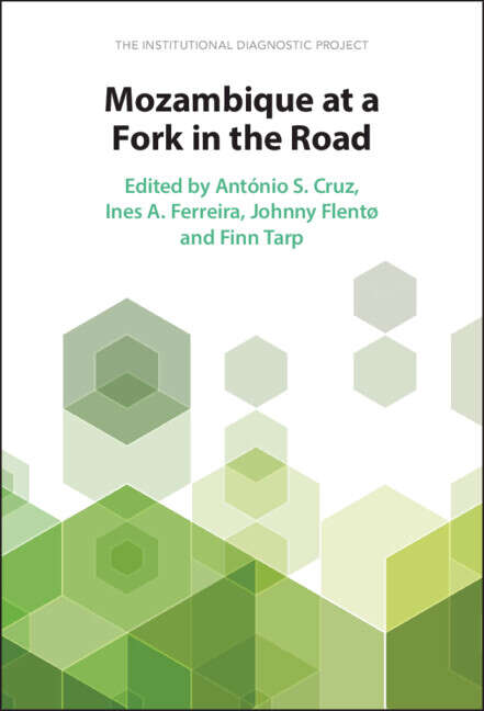 Book cover of Institutional Diagnostic Project: Mozambique at a Fork in the Road