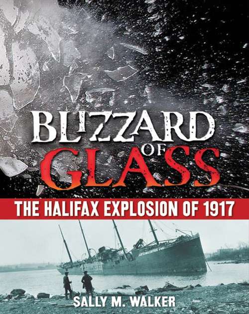 Blizzard Of Glass