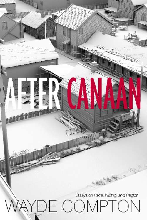 Book cover of After Canaan