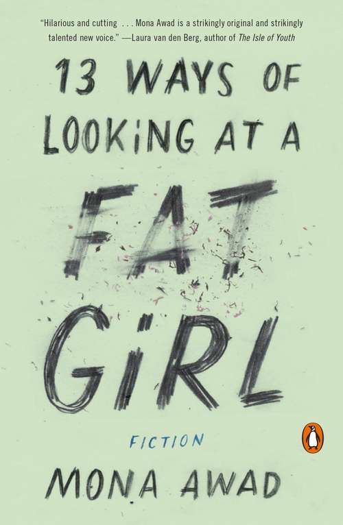 Book cover of 13 Ways of Looking at a Fat Girl