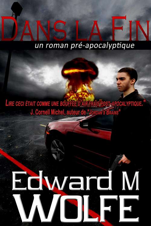 Book cover of Dans la Fin - un roman pré-apocalyptique