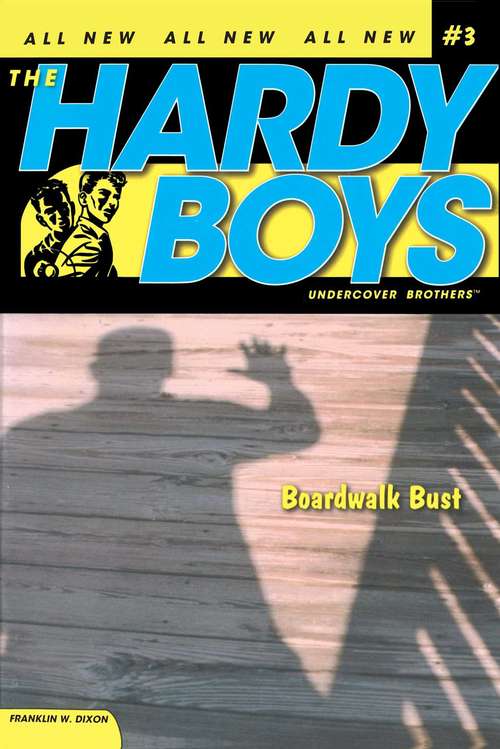 Book cover of Boardwalk Bust