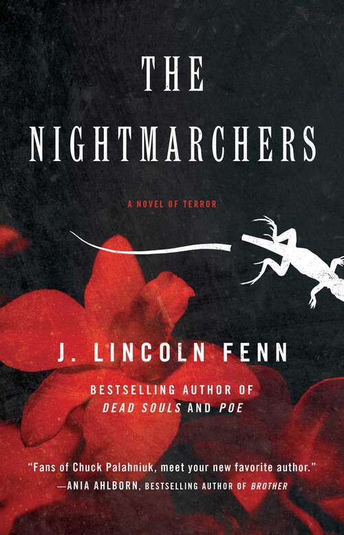 Book cover of The Nightmarchers