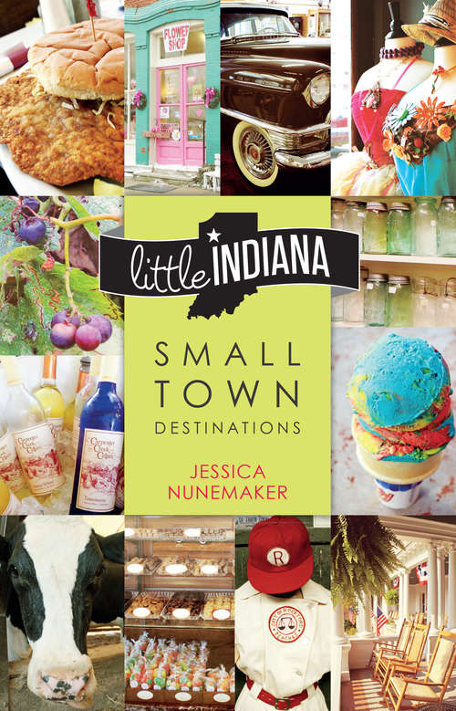 Book cover of Little Indiana