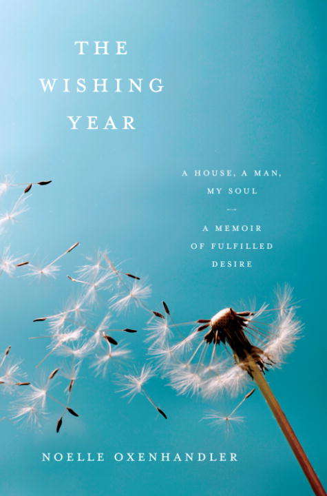 Book cover of The Wishing Year
