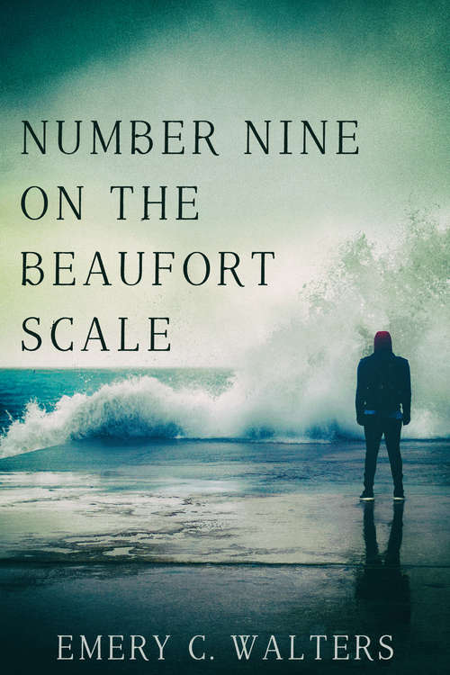 Number Nine on the Beaufort Scale