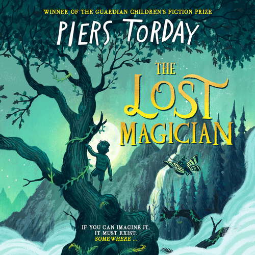 Book cover of The Lost Magician