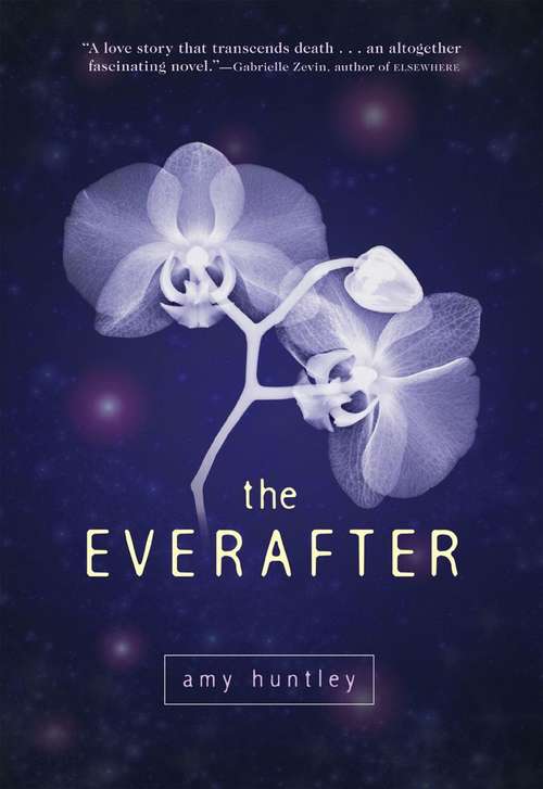 Book cover of The Everafter