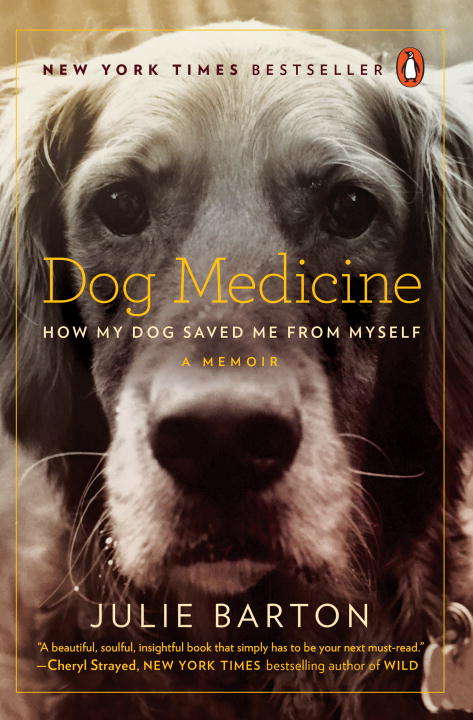 Book cover of Dog Medicine: How My Dog Saved Me from Myself