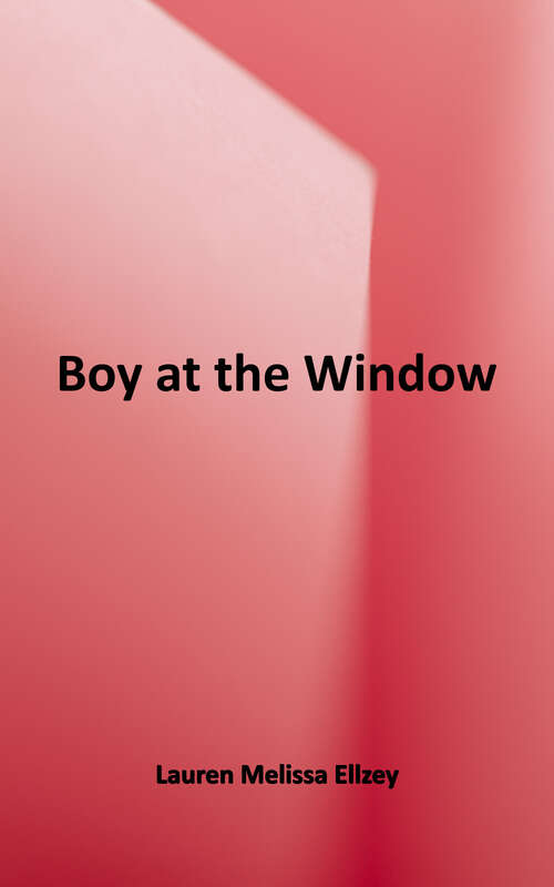 Book cover of Boy at the Window