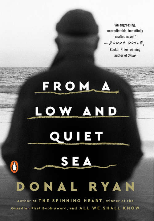 Book cover of From a Low and Quiet Sea: A Novel