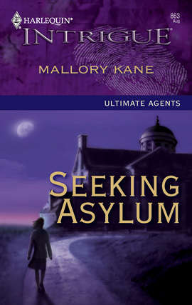 Book cover of Seeking Asylum