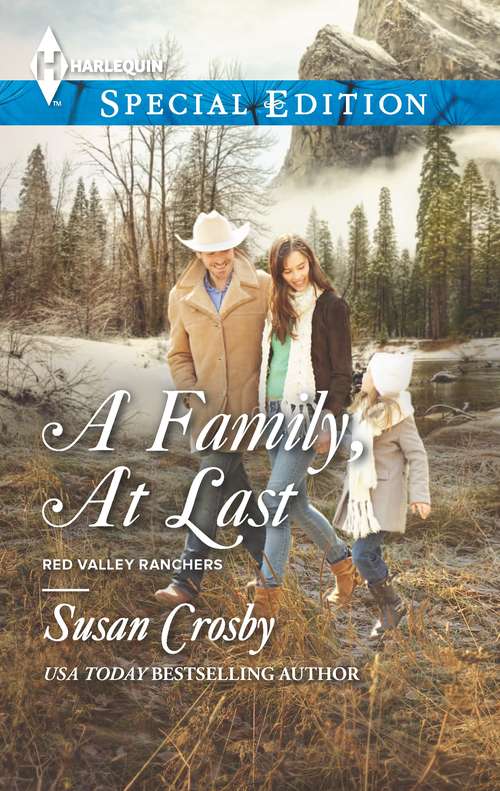 Book cover of A Family, At Last