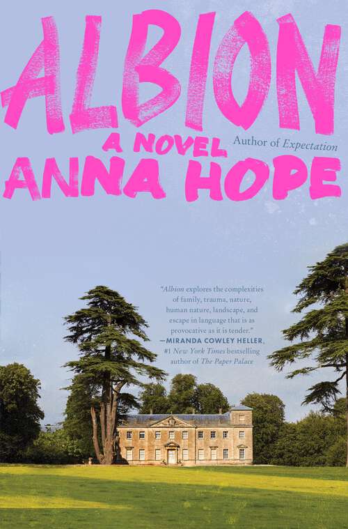 Book cover of Albion: A Novel