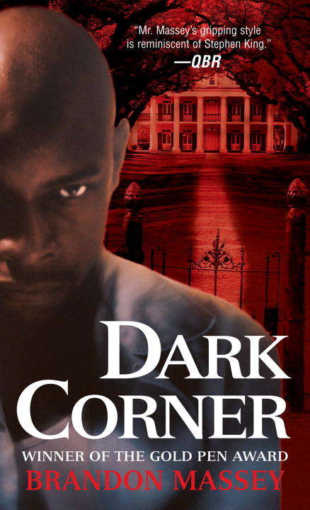Book cover of Dark Corner