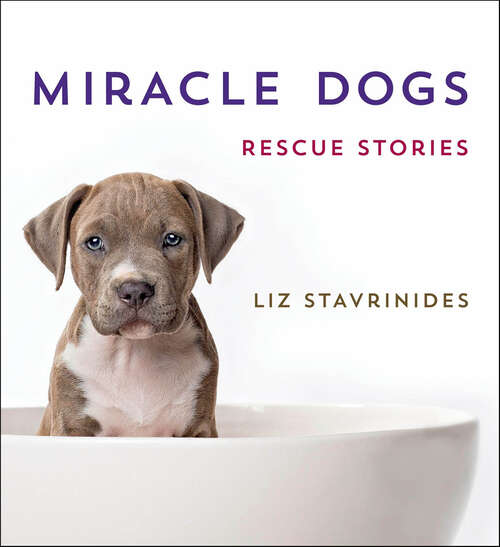 Book cover of Miracle Dogs: Rescue Stories
