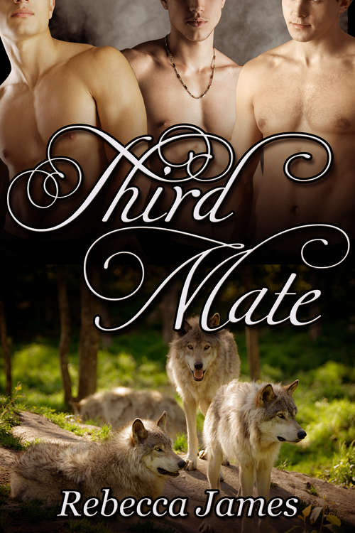 Book cover of Third Mate