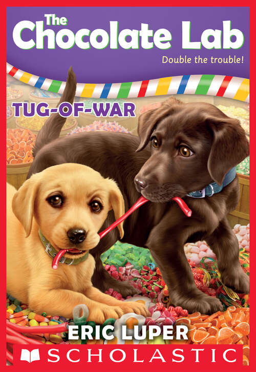 Book cover of Tug-of-War (The Chocolate Lab #2)