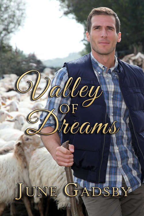 Book cover of Valley of Dreams