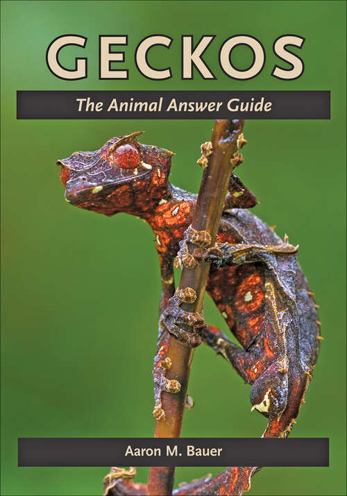 Book cover of Geckos: The Animal Answer Guide (The Animal Answer Guides: Q&A for the Curious Naturalist)
