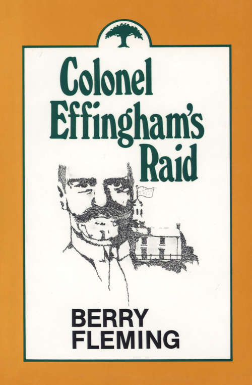 Book cover of Colonel Effingham's Raid