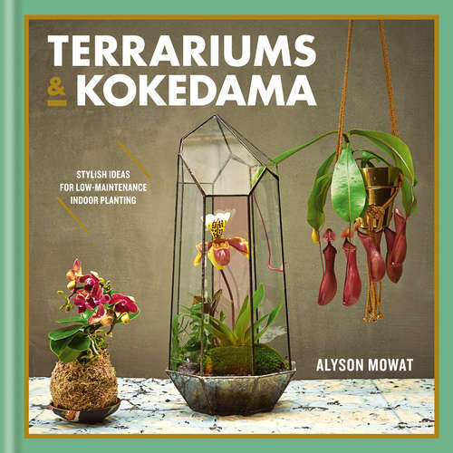 Book cover of Terrariums & Kokedama
