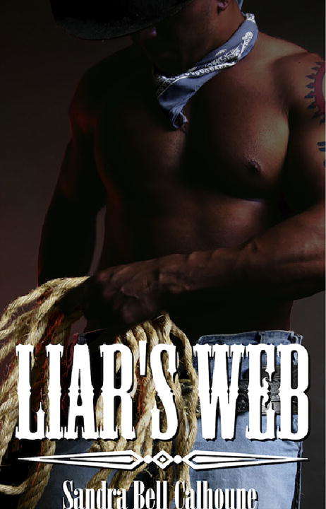 Book cover of Liar's Web