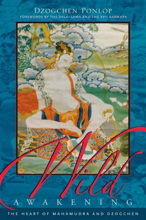 Book cover of Wild Awakening: The Heart of Mahamudra and Dzogchen
