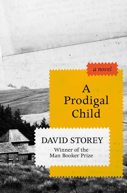Book cover of A Prodigal Child