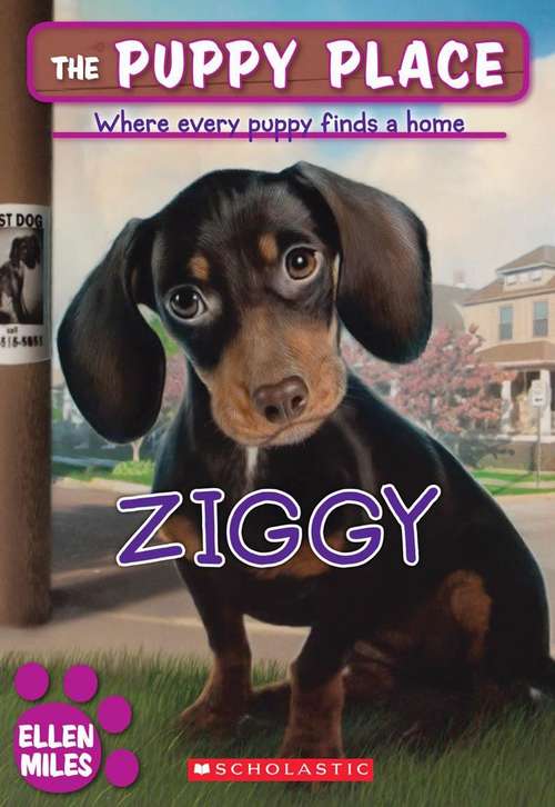 Book cover of Ziggy (The Puppy Place #21)