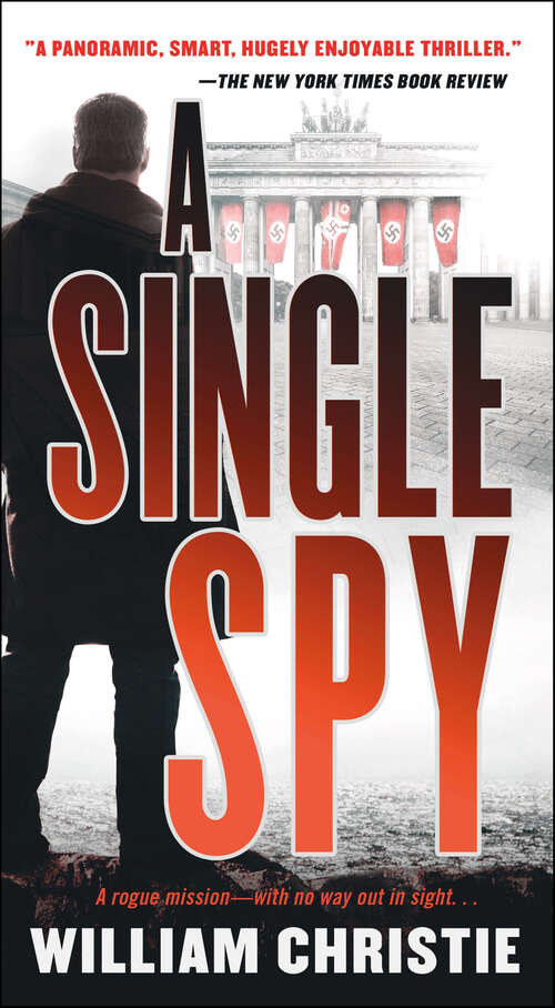 Book cover of A Single Spy