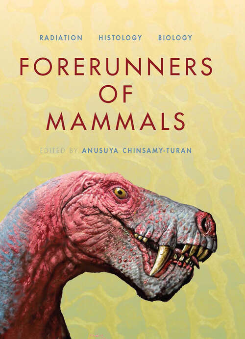 Book cover of Forerunners of Mammals