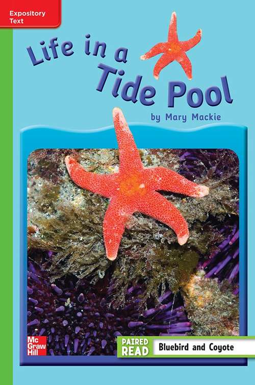 Book cover of Life in a Tide Pool [Beyond Level, Grade 3]