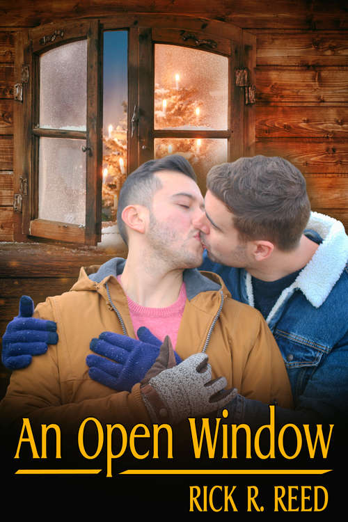 Book cover of An Open Window (2017 Advent Calendar - Stocking Stuffers Ser.)