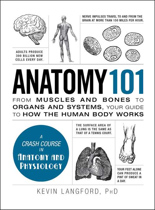 Book cover of Anatomy 101