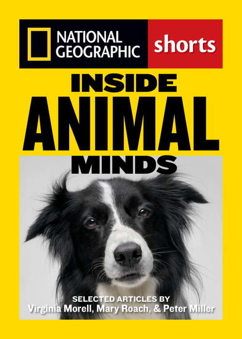 Book cover of Inside Animal Minds