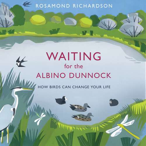 Book cover of Waiting for the Albino Dunnock: How birds can change your life