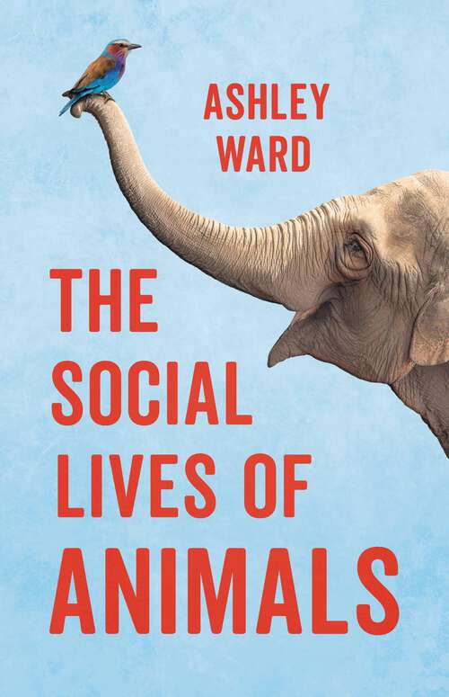 Book cover of The Social Lives of Animals