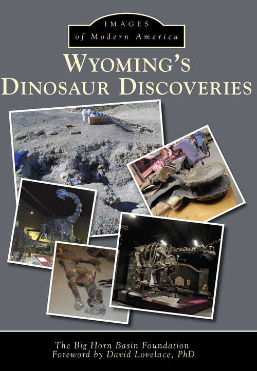 Cover image of Wyoming's Dinosaur Discoveries