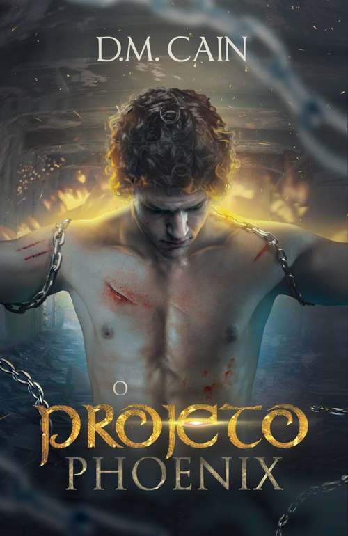 Book cover of O Projeto Phoenix