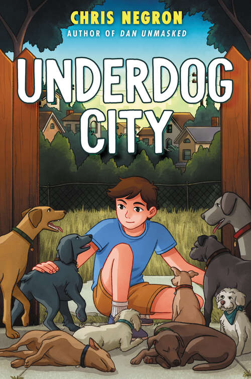 Book cover of Underdog City