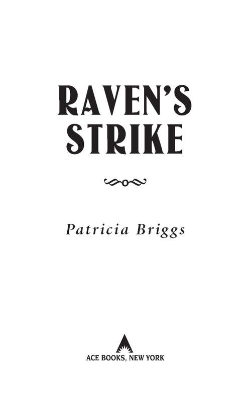 Book cover of Raven's Strike