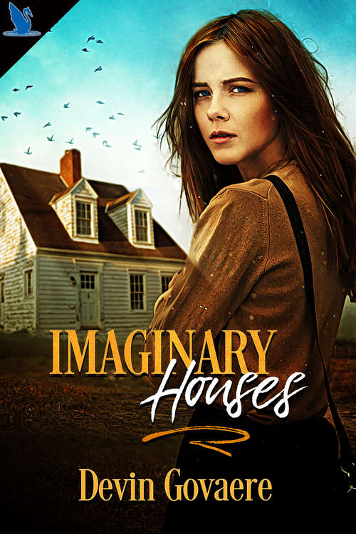 Book cover of Imaginary Houses