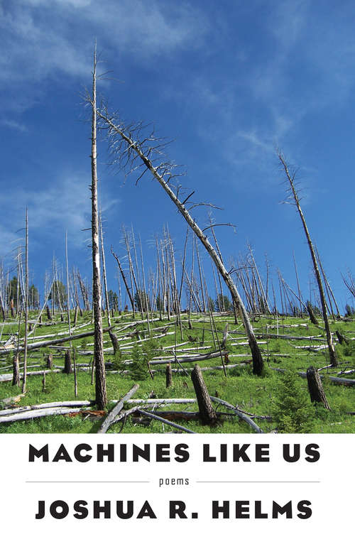 Book cover of Machines Like Us