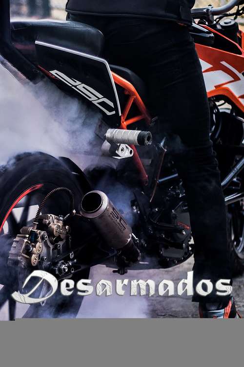 Book cover of Desarmados