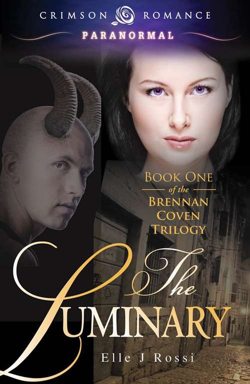 Book cover of The Luminary