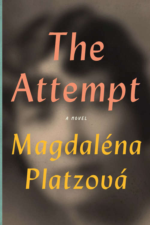 Book cover of The Attempt